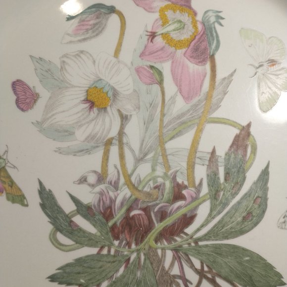 Portmeirion Botanic Garden Dinner Plate Helleborus or Christmas Rose - Picture 3 of 7